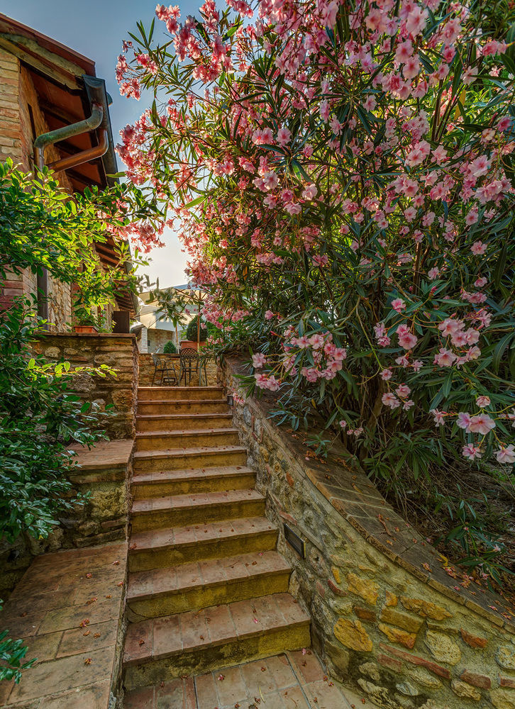 Agriturismo Casanova Di Pescille San Gimignano Exterior foto